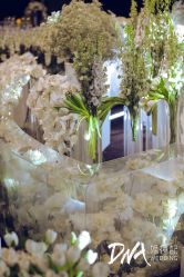 -DNA Wedding 婚礼记(上海店)