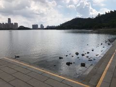 -顺峰山公园