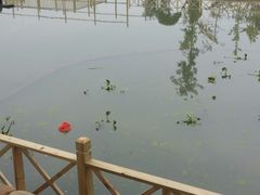 -楠柏弯休闲山庄(梨花溪店)