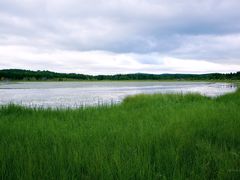 -塞罕坝国家级自然保护区