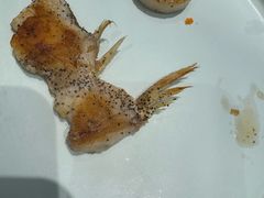 -上渔铁板烧(熙悦汇店)