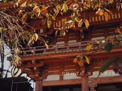 -醍醐寺