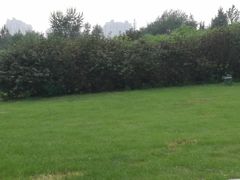 -群力丁香公园