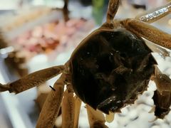 -圣罗巴海鲜烤肉自助(佳兆业店)