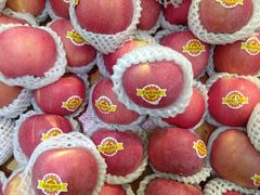 -全而廉(靖宇中路店)