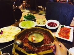 蜀九香火锅酒楼(彩虹店)-蜀九香火锅(彩虹店)