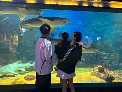 -烟台海昌鲸鲨海洋公园