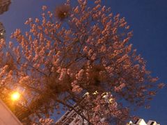 -辣家私厨火锅·龙虾(开发区店)