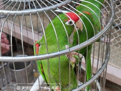 -南宫五洲植物乐园