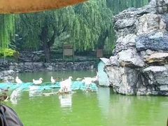 -团结湖公园