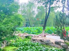 -莲湖公园