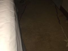 -成都天府丽都喜来登饭店