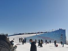 -绿野森林乐园冰雪季