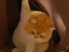 -左邻右舍褡裢火烧(石榴园店)