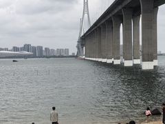 -中澳友谊花园