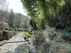 -仙霞关景区
