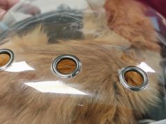 -北京观赏动物医院·24小时大型综合·猫专科·异宠专科