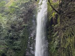 -莫里热带雨林景区