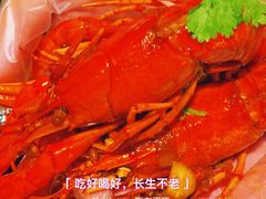 -大孩龙虾(体育场旗舰店)