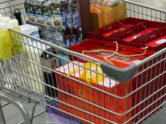 -山姆会员商店(亦庄创意生活广场店)