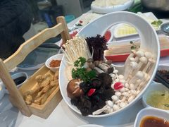 -洪氏嗨捞·广东猪肚鸡·椰子鸡火锅(西咸万象城店)