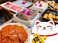 小龙坎毛肚-小龙坎火锅(香港中路店)