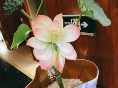 -芥末日本料理(打浦路铂尔曼旗舰店)