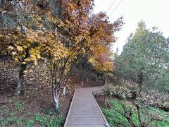 -鹦鹉寺公园