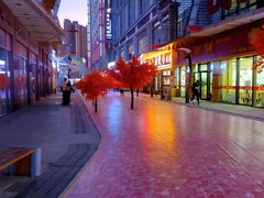 -宋记粥铺家常菜·米饭套餐·粤式早点(宽城万达店)