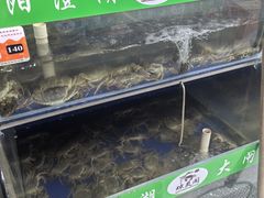 -阳澄湖大闸蟹·琼灵阁牌品牌连锁(吴中总店)
