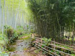 -黄公望隐居地