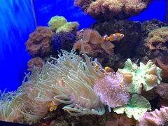 -多彩贵州城极地海洋世界