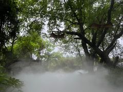 -贵州森林野生动物园