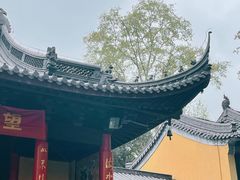 -灵谷景区
