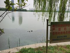 -金银湖国家城市湿地公园