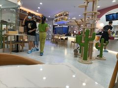 -喵园·猫主题咖啡厅·撸猫·猫咖(国贸店)