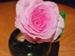 -悦景酒家(福田店)