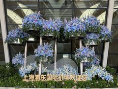 -上海浦东国际机场-T2航站楼