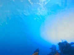 -苏州青少年科技馆