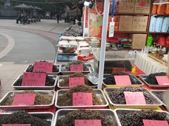-郑和公园