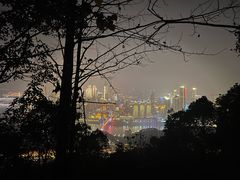 -南山植物园