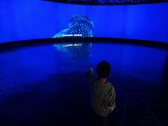 -同济大学四平路校区深海探索馆