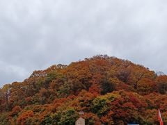 -天女山森林公园