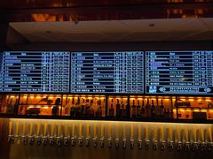 -麦落精酿啤酒餐吧(先农大院店)