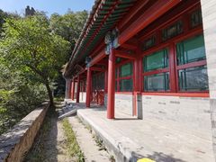 -北京鹫峰国家森林公园