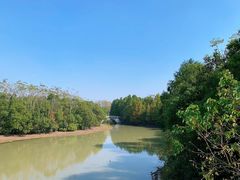 -上海海湾国家森林公园