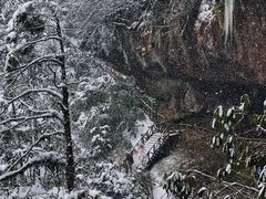 -龙苍沟森林公园