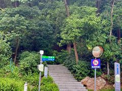 -火炉山森林公园