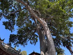 -巍山古城-拱辰楼