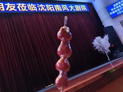 -南风大剧院莎梦二人转剧场